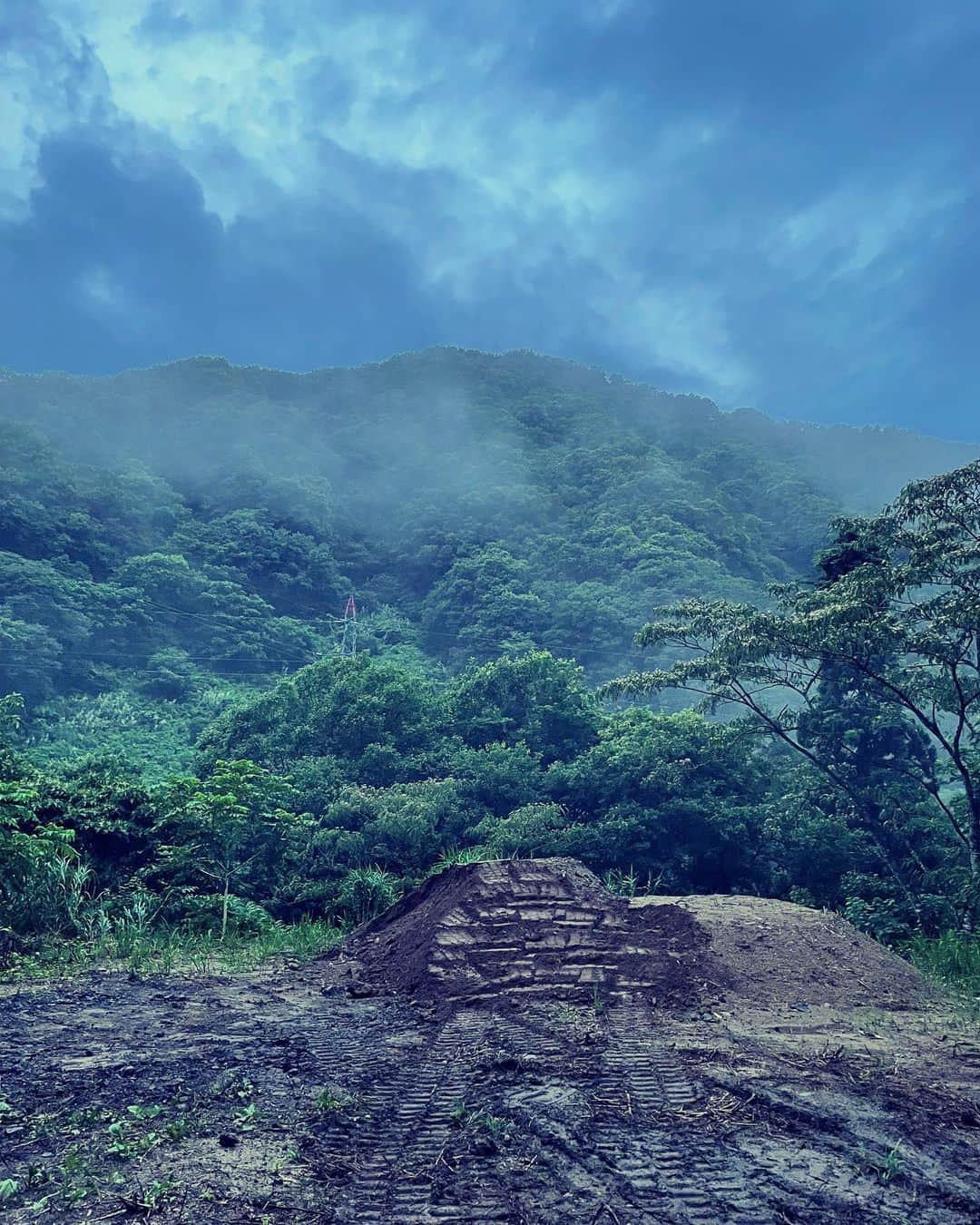 オラキオさんのインスタグラム写真 - (オラキオInstagram)「ジモンさんとオオクワガタを観察に行った山。すごく雰囲気があってキングコングが住む髑髏島の様でした。  #寺門ジモン  #ウザちゃんねる #オオクワガタ #オラキオ」7月16日 18時02分 - matsuyukiorakio