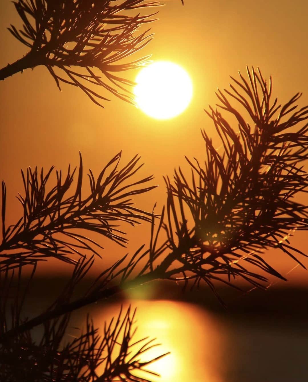 フィンランド政府観光局のインスタグラム：「Porkkala（ポルッカラ）の美しい夕日。🌞 ． 📸 @clickedbycarefree Kiitos! 🙏  #visitfinland #ourfinland #visitfinlandjp #finland #北欧旅行 #travelgram #フィンランド #フィンランド政府観光局 #北欧 #travel�#instatravel #travel #travelgram #travelling #traveler #旅したくなるフォト #旅行 #旅 #海外旅行 #travelphotography #旅行大好き #旅行好き #旅スタグラム #旅好き #ヨーロッパ旅行 #旅に出たい #トラベル  #夕日 #夕焼け」