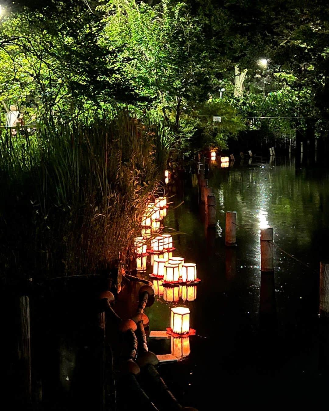 高橋ひとみさんのインスタグラム写真 - (高橋ひとみInstagram)「4年ぶりに開催された 大田区妙福寺の『洗足池灯ろう流し』😊 「ももえ」の灯ろうも流していただきました🎵  #大田区pr特使  #洗足池灯ろう流し  #洗足池 #大田区 #妙福寺  👕: @saintjames @saintjamesjapon #saintjames」7月16日 20時54分 - hitomi_momoe