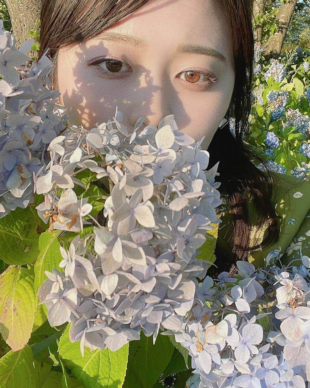 彩雪さんのインスタグラム写真 - (彩雪Instagram)「エンドレスサマーっていう紫陽花」7月16日 21時46分 - 1116_for
