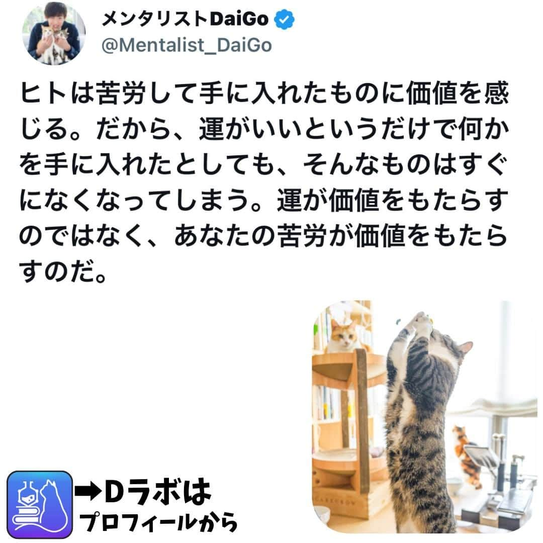 メンタリストDaiGoさんのインスタグラム写真 - (メンタリストDaiGoInstagram)「🐈本日の名言📚 プロフィールからDラボもみてね   #心理学 #メンタリスト #dラボ  #dラボはプロフィールから」7月16日 22時00分 - mentalistdaigo