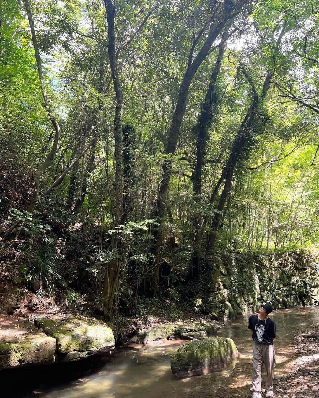 ミッチーさんのインスタグラム写真 - (ミッチーInstagram)「気持ちいい〜〜🌳幸せ！  毎日暑いからさ、 涼しくなる川のせせらぎ動画載せておくよ〜」7月16日 22時00分 - miccieofficial