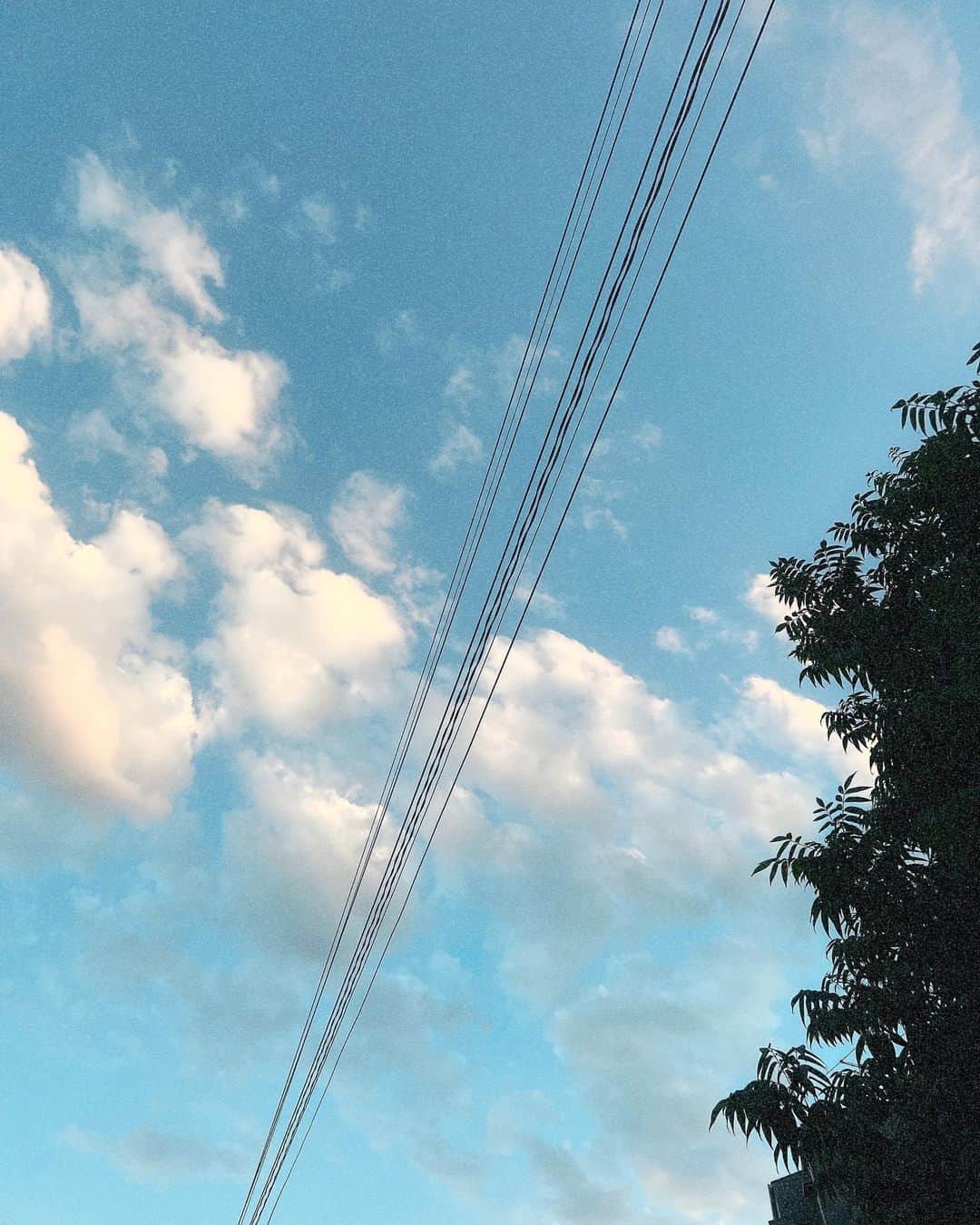 神部美咲さんのインスタグラム写真 - (神部美咲Instagram)「広い世界で心穏やかに過ごせてるかな。  世の中が愛で溢れますように🌈  ご冥福をお祈りします。」7月16日 22時20分 - jimbu_misaki