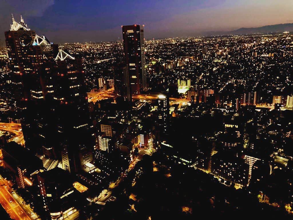 azumyのインスタグラム：「都庁の展望台から臨む夜景。」