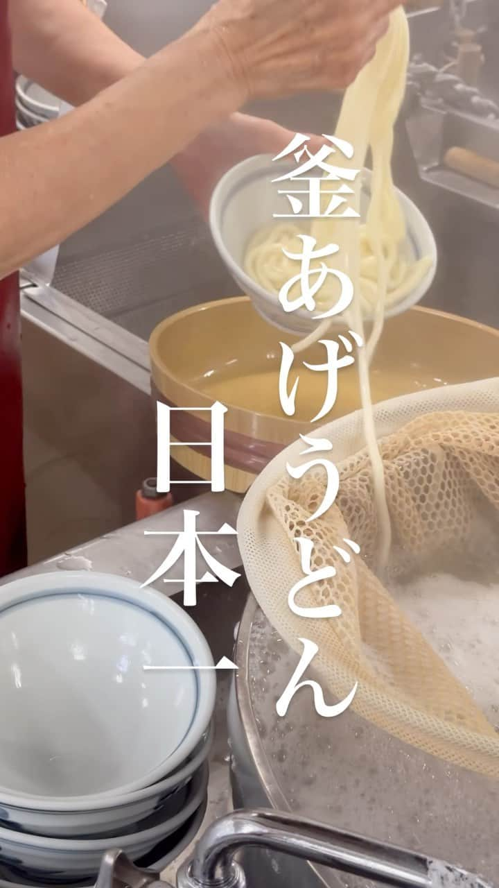 うどんが主食のインスタグラム：「日本一の釜あげうどん  うどんが主食のオフ会は、LINE公式アカウントに登録して下さい！ @alwaysudon  #うどんが主食 #うどんが主食の食べ歩き #食べ歩き #うどんが主食オススメうどん #本当は教えたくない美味しいお店 #食べログ #食べログ高評価 #香川グルメ #善通寺グルメ #香川 #うどん #長田In香の香 #讃岐うどん #讃岐 #手打ち #主食のオススメスうどん #和食 #釜あげうと #グルメ #美味い #japan #和食　#japanesefood #tokyo #washoku #gourmet #apain #beef #japanesenoodle #wagyu」