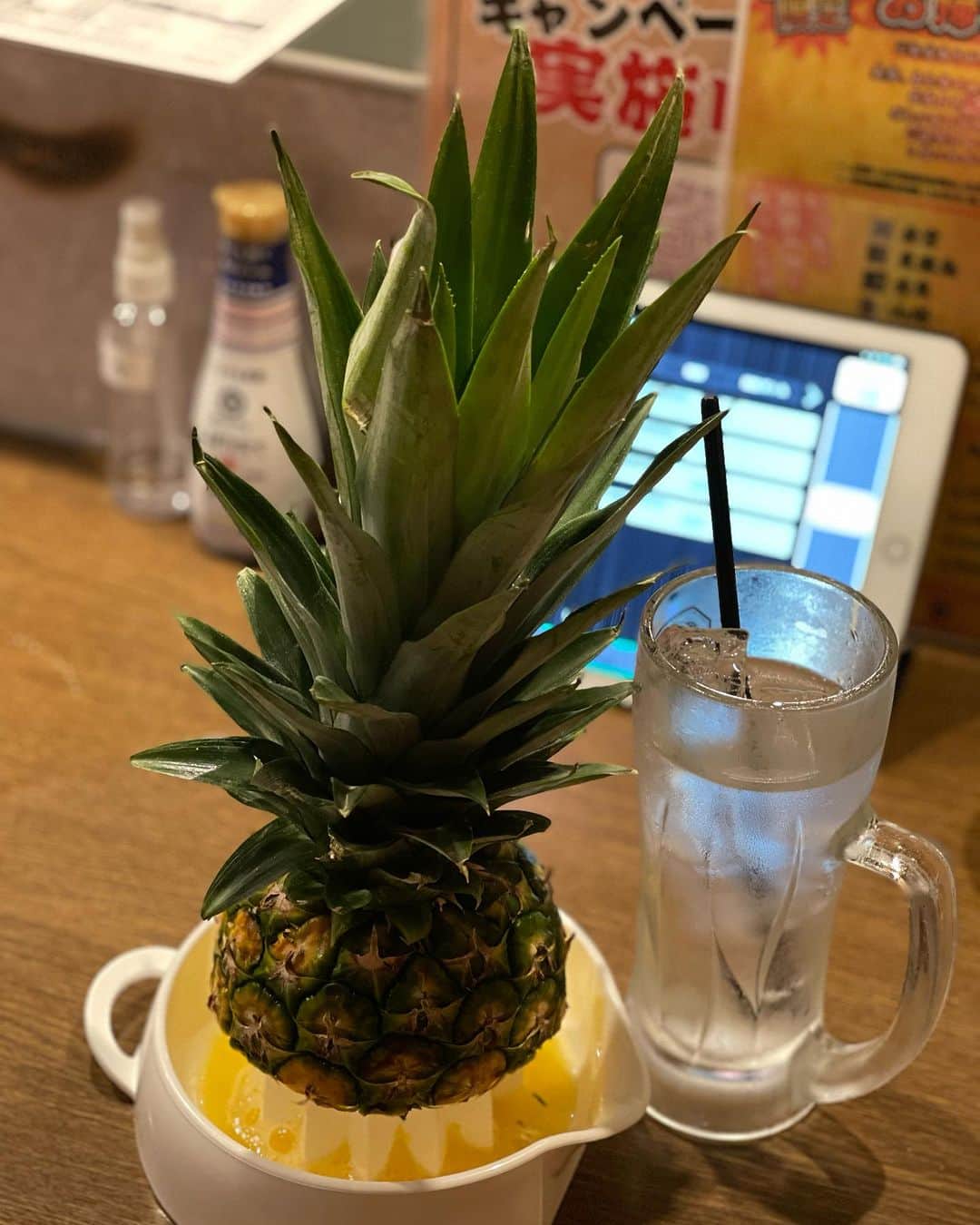 池田有希子のインスタグラム：「どうしてもお持ち帰りしてニャメハメハ大王ごっこがしたかった。」
