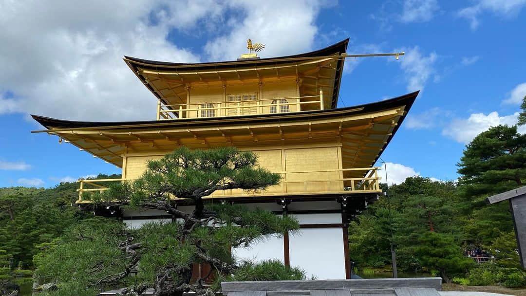 吉村洋文さんのインスタグラム写真 - (吉村洋文Instagram)「そうだ、京都、行こう、やで。暑さハンパないから要注意、やで。」7月16日 23時10分 - yoshimurahirofumi