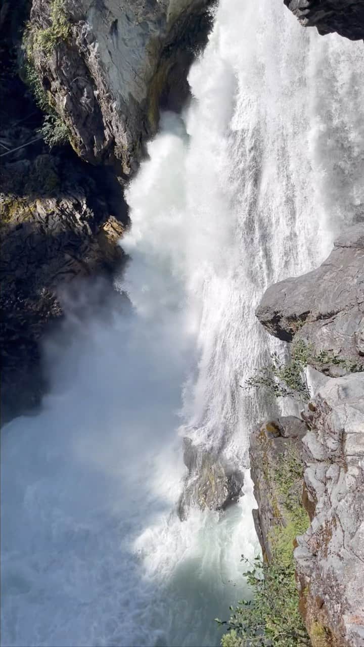 サラ・ウェイン・キャリーズのインスタグラム：「went chasing waterfalls. and rivers & lakes.  nothing went as planned, and it was 🦆 wonderful. 💋」