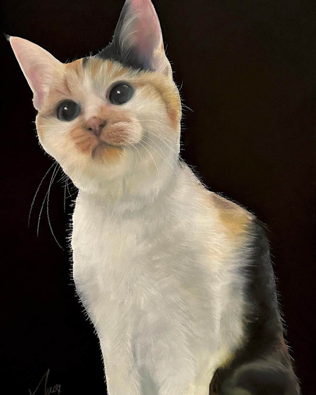 松下萌子のインスタグラム：「After →Before →After 🐱🐈🐾🐾🐈🐈‍⬛🐾 #cat #ぬこ #猫  #moecochalkart #drawing  #art  #japan  #japanese #artist #moeco #チョークアート #chalkart #chalk #チョーク #tokyo #picture  #絵 #artist #松下萌子 #moecomatsushita」