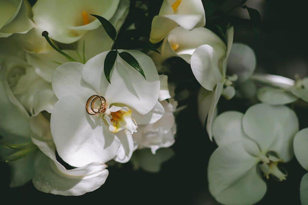 THE SODOH WEDDING OFFICIALのインスタグラム：「. marriage ring  永遠の愛を込めて おふたりで選んだたった一つのring  #sodoh花嫁#thesodohhigashiyamakyoto  #ザソウドウ東山京都#sodoh#pdsのある人生#weddingdress #dress #kyoto #wedding  #thetreatdressing#プレ花嫁#卒花嫁#結婚準備#式場探し#関西花嫁#京都花嫁#東京花嫁#京都結婚式#東山#入籍#プロポーズ#前撮り#結婚式#ウェディングドレス#ウェディングヘアメイク」