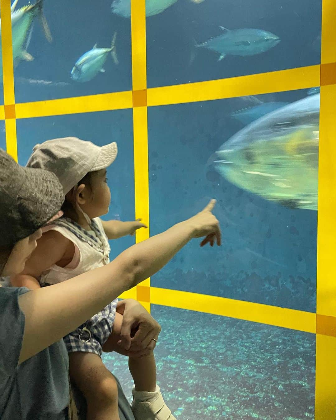 南條早紀さんのインスタグラム写真 - (南條早紀Instagram)「【思い出の水族館🐟】  3連休最終日🍉 みなさんいかがお過ごしですか？  きょうは海の日ですね🏝️ …ということで、 先日出かけた水族館での写真を🌊  訪れたのは【葛西臨海水族館🐟】 実は、私が小さな頃に よく家族で訪れていた水族館です✨  （よくラジオなどでもお話ししていたので覚えていてくださる方もいるかな…？😚）  大きなクロマグロが回遊する水槽が目玉の水族館👀✨ 他にもペンギンが居たり、 タッチプールがあったり、 見どころ盛りだくさんにも関わらず 入館料は大人700円という 大変良心的な水族館であります🥹✨笑  臨海公園の敷地内にあって、 磯遊びができたり、観覧車があったり 小さな頃何度も連れてきてもらったな〜と 思い出の詰まった場所でして…☺️  そんな水族館に、 自分が親になって娘を連れて行く日が来るとは…と 非常に感慨深くなりました😌  魚好きのわたくし、 普段は水族館に行ったら 水槽にへばりついて いろんな魚の写真を撮りますが、 娘と一緒にいると 魚をまじまじみるよりも 魚を見て楽しそうにしている 娘をつい見てしまって😳💡  親になるってこういう感覚か〜と しみじみしてしまいました。  それでもクロマグロの迫力には大興奮🤣  💁🏻‍♀️「見て！ほらほらほらほら！ マグロ！大きいね〜 ツナだよ、ツナ！！」  と、娘に熱プレゼン。笑  娘はぽかーん😶でしたが、 魚を目で追って楽しそうでした☺️ 娘も魚好きに育ってくれたらいいなぁ〜と思ってしまいます🐟  水族館⇒海⇒マリンということで 選んだマリンルック🛥️も なんだかいい感じでした🪼笑  葛西臨海水族館、 東京にお越しの際の観光地として おすすめいたします💁🏻‍♀️🐟🫧🩷  それでは… 明日からも暑い日が続くようですが くれぐれもお身体を大切に されてくださいね✨  -----🐟---🫧---🐟-----  現在、1歳児育児中&2人目妊娠中🤰 まもなく２学年差年子育児開始！ 子どもとの日常は @hoiku_anamama  主にこちらのアカウントで 更新しています🥰 よろしければ💁🏻‍♀️  -----🐟---🫧---🐟-----  #東京都 #東京 #東京観光 #東京旅行  #水族館 #葛西臨海公園 #葛西臨海水族園  #葛西臨海水族館 #葛西 #クロマグロ #水族館巡り #思い出 #思い出pic  #海の日 #３連休  #親子 #マリンコーデ #海コーデ #アナウンサー #フリーアナウンサー #南條早紀 #なんじょうのにちじょう」7月17日 10時39分 - nanjo_saki