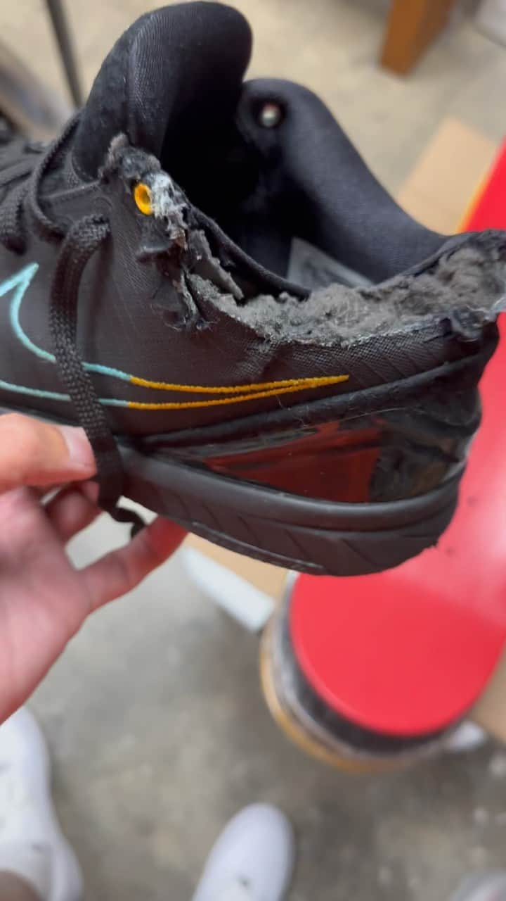 ベン・ボーラーのインスタグラム：「What would you do if your dog did this to one of your favorite pair of shoes? 😢😩 #RIPKOBE」