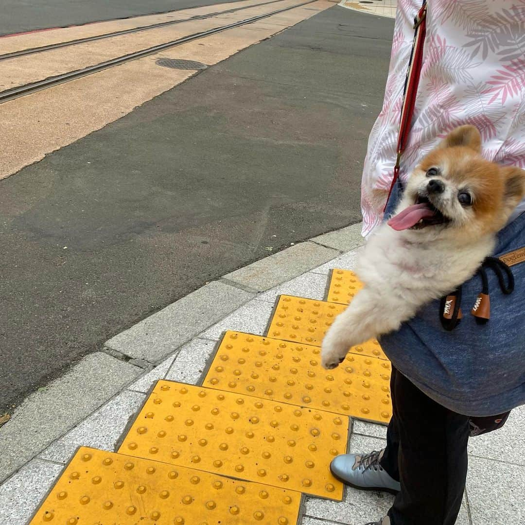 橋本塁さんのインスタグラム写真 - (橋本塁Instagram)「札幌おはようございます！ 朝ラン7km終了！ 今日も曇り走りやすかったです！ 心身ともに健康で。 サウシュー札幌写真展&STINGRAYショップ5日目！ そしてヒゴ・ヴィシャスさんのRISKショップは最終日！12:00-19:00で僕とヒゴヴィシャスさんとでずっとお待ちしてます！ #stingrun #朝ラン  #adidas #adidasultraboost  #run #running #ランニング　#心身ともに健康に #ジョギング #札幌」7月17日 6時50分 - ruihashimoto