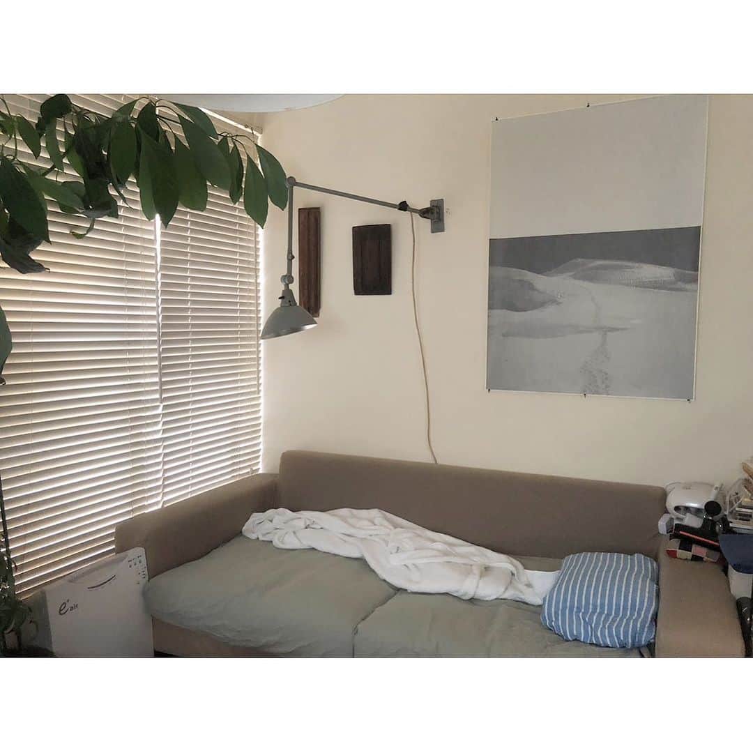 井山三希子さんのインスタグラム写真 - (井山三希子Instagram)「・ エアコンの無い寝室で寝ていたけど 昨夜はさすがに耐えられず リビングのソファをベッドに」7月17日 7時29分 - nikoyagi
