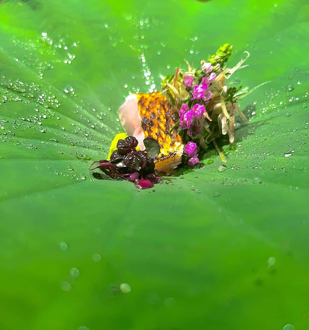 森隆弘さんのインスタグラム写真 - (森隆弘Instagram)「✨NICE✨  生牡蠣からスタート✌️ からの焼肉⇨ひつまぶし❗️ 最高の組み合わせでした😃  #焼肉 #肉好き #焼肉部 #焼肉とビール #焼肉マニア #肉祭り #焼肉大好き #焼肉lover #肉食系 #焼肉タイム #お肉大好き #焼肉グラム #美味しい肉 #肉尽くし #焼肉日和 #焼肉好きな人と繋がりたい #肉のある生活 #焼肉大国 #肉バカ #焼肉好きな人RT #肉パラダイス #焼肉好きと繋がりたい #肉料理 #焼肉グルメ #肉の王様 #焼肉を楽しむ #美味しい焼肉 #肉の日常 #焼肉好きな人と繋がりたい #焼肉の食べ比べ」7月17日 8時45分 - mori._.takahiro