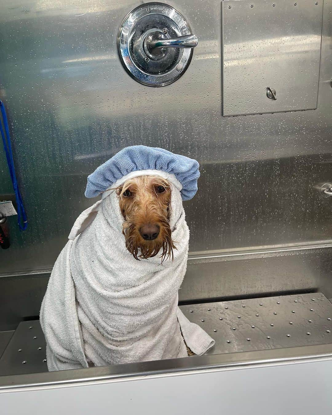 ジェシカ・シンプソンさんのインスタグラム写真 - (ジェシカ・シンプソンInstagram)「This shower was LIT so I snapped a selfie 😜 I have never been in a shower that has a mirror- who has time to look at themselves shower? I would have soap in my eyeballs!」7月17日 8時49分 - jessicasimpson