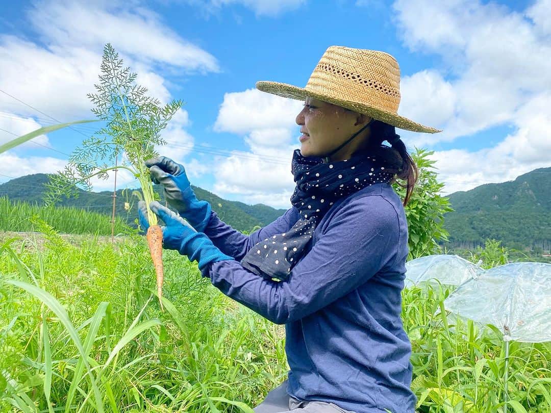 青山有紀さんのインスタグラム写真 - (青山有紀Instagram)「畑の紅花と桔梗がめっちゃきれい💓 野菜の収穫もできてありがたい〜🥕🧡✨」7月17日 9時10分 - yukiaoya