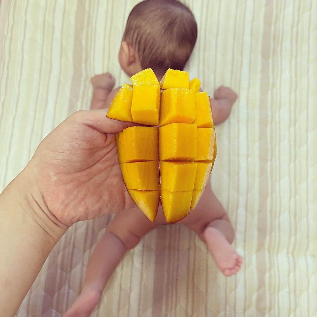 美甘子のインスタグラム：「はるピーマンゴー亀🥭🐢  #ゆうピーはるピー #ベビーフルーツ #マンゴー亀」