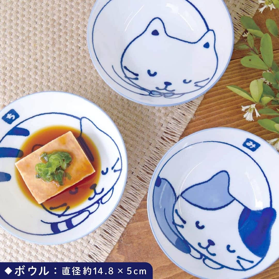 HAPiNSさんのインスタグラム写真 - (HAPiNSInstagram)「. 夏の食卓にぴったり！ 藍染食器に新柄が登場です🎐🌿  デザインは、"猫といえば"の 丸まった姿がかわいらしい #ミケランジェロ #チャチャ丸 #しろたまちゃん。  鮮やかな藍色が涼し気で 食欲も上がりそうです🍽  ┈┈┈┈┈┈┈┈┈┈┈┈┈┈┈┈┈┈  ■Fuku Fuku Nyanko 軽量藍染 茶碗 / ボウル / プレート  各￥800円(税込)  ┈┈┈┈┈┈┈┈┈┈┈┈┈┈┈┈┈┈  #HAPiNS #ハピンズ #雑貨 #プチギフト #ふくふくにゃんこ #fukufukunyanko #猫 #ネコ #ねこ #猫グッズ #猫食器 #夏食器 #藍染 #軽量食器  ※店舗によりお取り扱いが無い場合がございます。 　御了承下さいませ。」7月17日 19時00分 - hapins_official