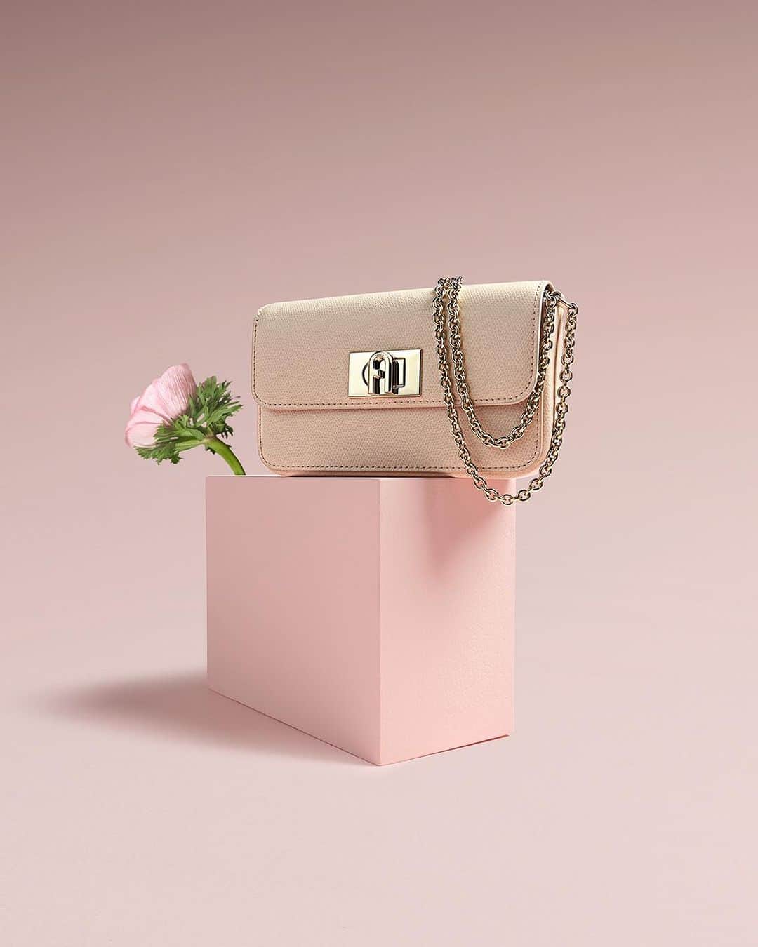 フルラのインスタグラム：「Pastel Pink classics. Choose Furla 1927 for an instant hit of glamour.  #Furla #FurlaColors  Photographer & Film Director: Paolo Zambaldi (@paolozambaldi) Art Direction and graphic design by Roberto Da Pozzo (@roberto_da_pozzo)」