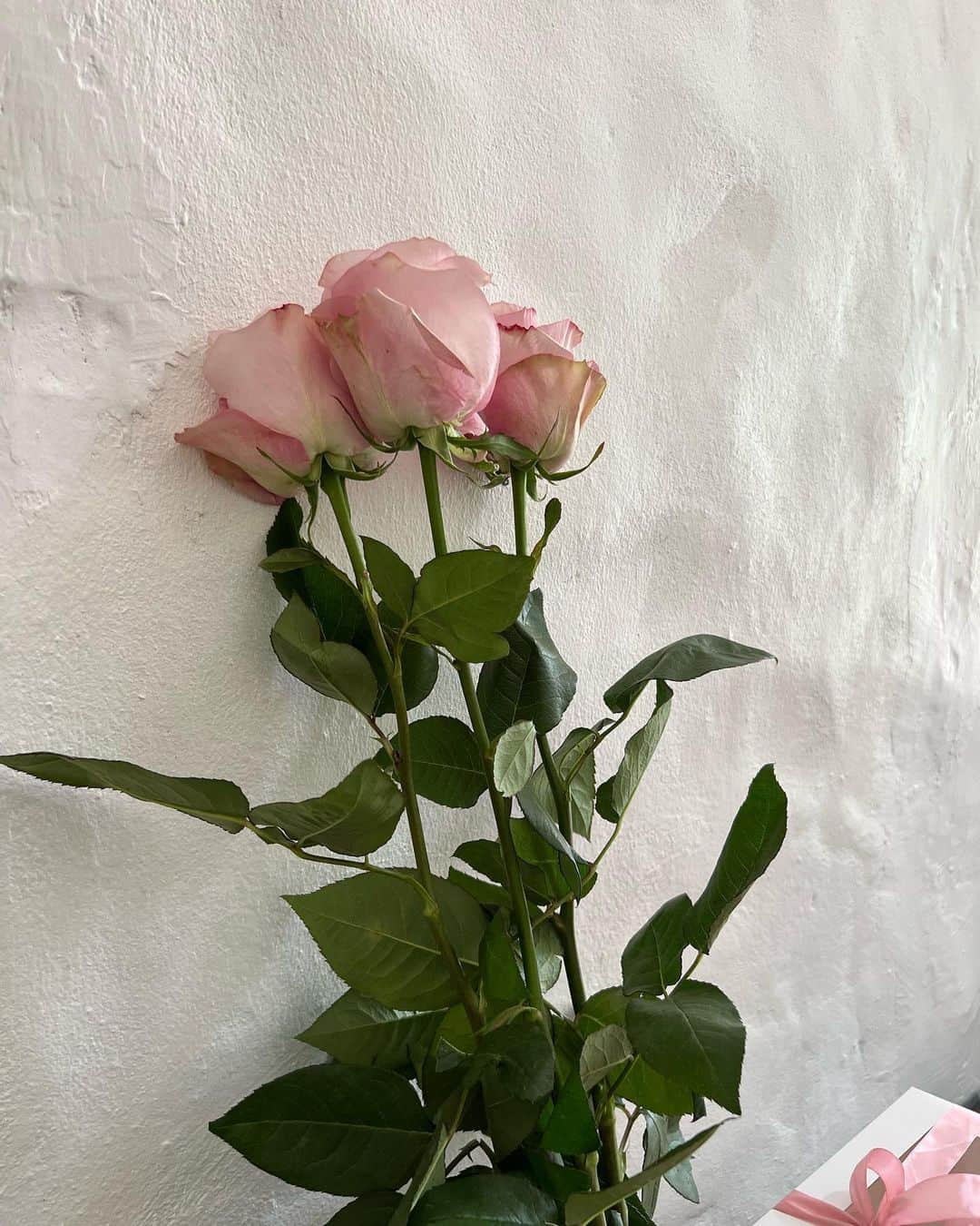 イプシー・キーラティのインスタグラム：「🥴🤍 ไม่คิดว่าจะมีโมเม้นนี้~ ขอบคุณเพื่อนๆทุกคนมากๆๆๆ น่ารักมากๆๆ ซึ้งในทุกดีเทล ความมินิมอล ความพาสเทล ความกุหลาบ ความคุมโทนให้ 🥹 เป็นงานเล็กๆกันเอง ที่อบอุ่น และสำคัญสุดคือเป็นตอนกลางวัน!! 🤣🤣 I love u guys so much and I’m so happy to have you as my friends in this life :)) 🫶🏽🤍 เธอคือเพื่อนคุณภาพของเรานะ .. #gypsyhenlunch 🤍🐱」
