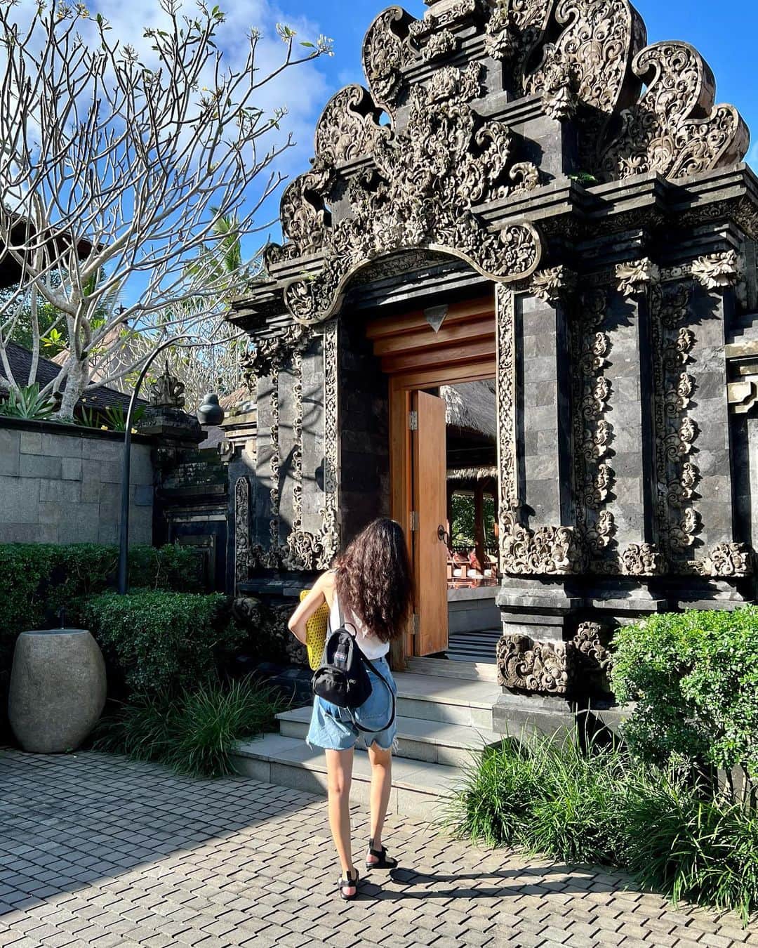のインスタグラム：「🦎」
