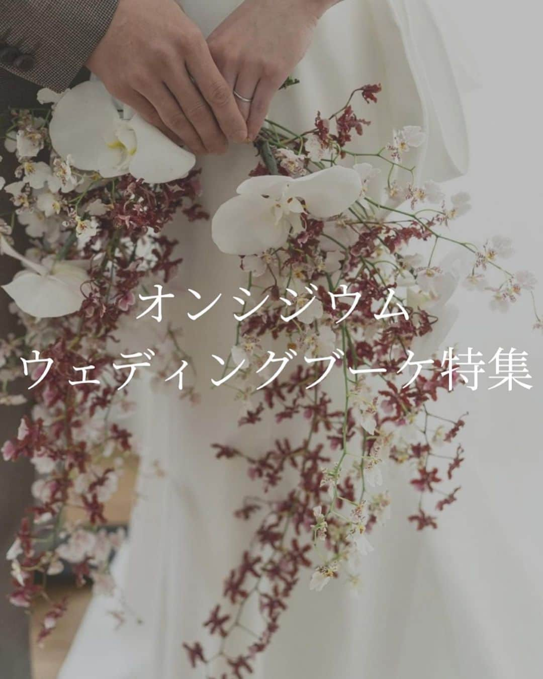 プレ花嫁の結婚式準備サイト marry【マリー】のインスタグラム：「蘭の一種の「オンシジウム（オンシジューム）」が魅力的なウェディングブーケをご紹介🤍  ひらひらとフリルのような、小さなお花をたくさん咲かせるオンシジューム🪄 エアリーなボリュームがエレガントで、可愛いお花です🫶  marryの記事でもオンシジウムのブーケをご紹介しています🪄 記事ID【17465】をプロフィールのURLに入力すると記事が見られます🪞  ご紹介した花嫁さんは、  a__trunk_wd @ty___24k.wd @1218_oharu _aobride1101 @sono.kawajyunya です🤍  #オンシジウム#オンシジューム#オンシジウムブーケ#オンシジュームブーケ#ウェディングブーケ#ウェディングブーケデザイン#挙式ブーケ#披露宴ブーケ#胡蝶蘭ブーケ#蘭ブーケ#結婚式#挙式#プレ花嫁#ブライダルブーケ#ブーケ#ナチュラルブーケ#クラッチブーケ」