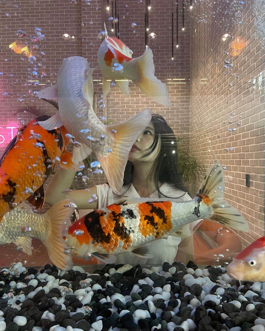 キュリ のインスタグラム：「🐟🐡🐠🐟」