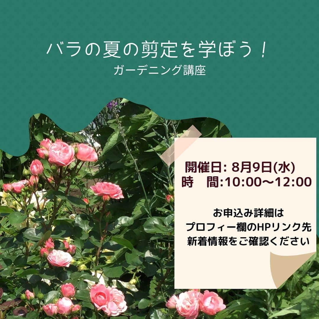 道の駅やちよのインスタグラム