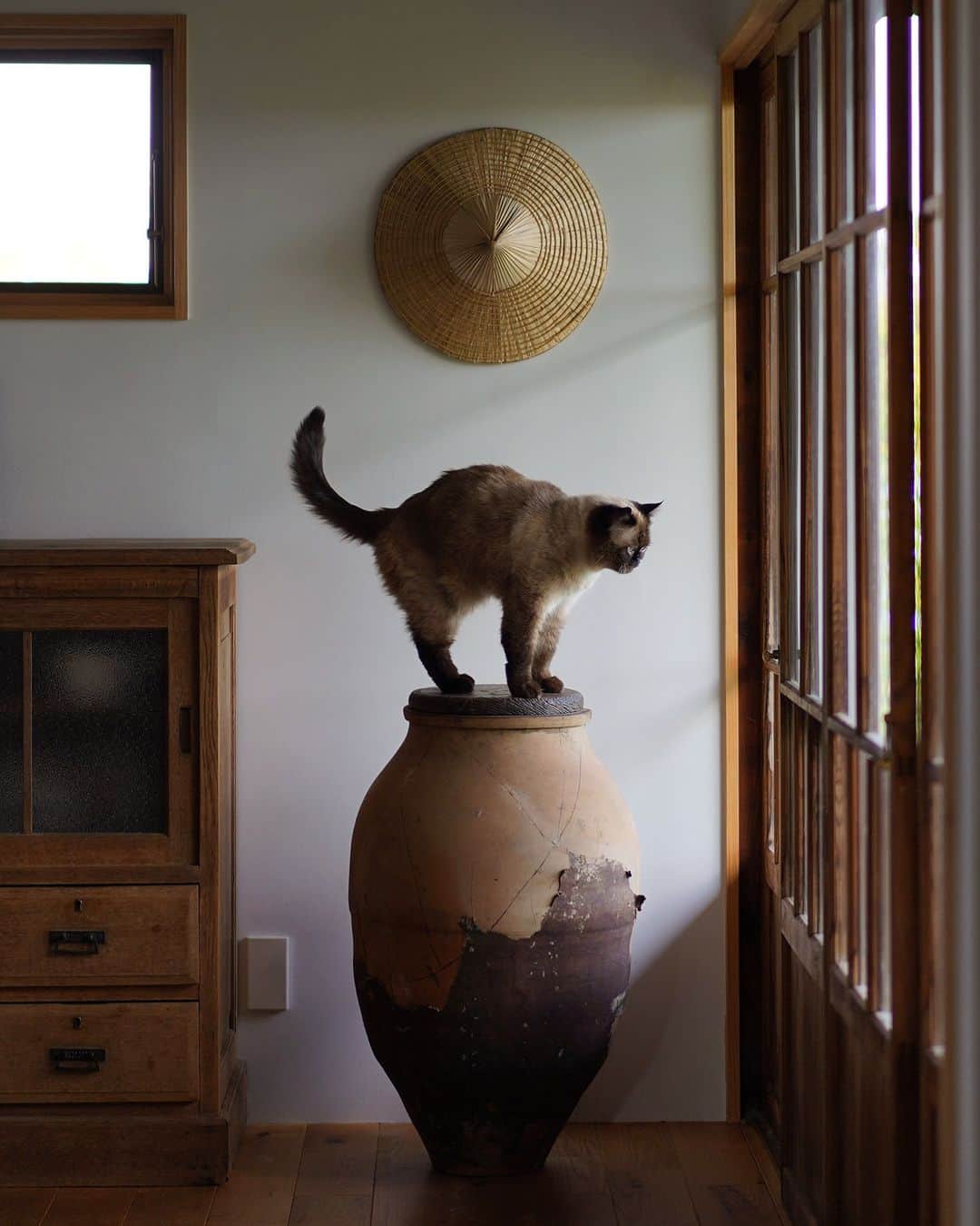 ムクリ［mukuri］さんのインスタグラム写真 - (ムクリ［mukuri］Instagram)「ささやかな発見や喜びをそばに置いて〜古い家具を楽しむ暮らし  季節の移り変わりとともに暮らしている 猫と古家具さん。  お家とそこになじんだ古家具、そして猫。 見事に調和した様子は、ちょっとしたギャラリーのよう。  古い家具や道具を好きになったきっかけから お家との出会いやハプニング、 そしてお家のまわりに広がる庭についてまで、 お話いただきました。  「循環」を感じる、心地良い暮らし ぜひご覧くださいね♩  ▶︎ご紹介した読みもの 「古い家具」で検索するとご覧いただけます  –––––––––––––––––– ムクリ公式アカウントでは くらしの中にある"好き"や"コダワリ"を毎日お届け。  インテリア、整理収納から家づくりなど 日常で参考になる情報から サラッと読める短編コラムまで ご紹介していますのでフォローしてぜひご覧ください。 ▶︎ @mukuri_official ・  「 #ムクリ 」のタグもいつも楽しく拝見しています☺️  オリジナルブランドは @daily_mukuri  くらしの中にあったらいいいな、 そんな商品を企画・制作、集めています。 ––––––––––––––––––  #日々#古道具#古家具#古物#骨董#古董#民藝#古民具#侘寂#リフォーム#リノベーション#エキゾチックショートヘア#ねこ#異國短毛貓#貓#antique#japaneseantique#wabisabi#mingei#catlife#catstagram#暮らし#暮らしを楽しむ#くらしの編集#ムクリ」7月17日 12時05分 - mukuri_official