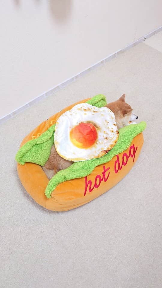 ちゃみのインスタグラム
