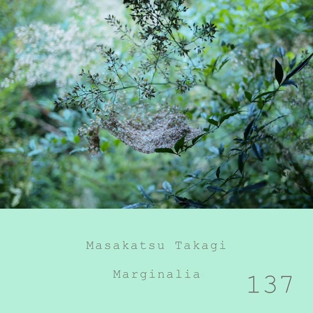 高木正勝のインスタグラム：「空が高くなって、光る雲が流れて、ヒグラシや蝉が鳴きはじめて。  Marginalia #137   Bandcampにて（リンクはプロフィールにあります）、ストリーミングは後日予定。」