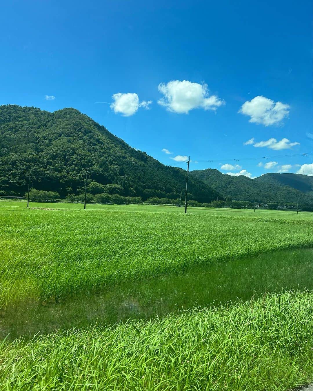 ジュジュのインスタグラム：「...☁️🌞  夏の香りがプンプン🩵  生き物が大好きな坊と🍙は川遊びが大好きなので探して @sanda_outdoor_center  に行って参りました👍　　 (めちゃ問い合わせあったのでフィード残します♡  川🐟の日帰りと宿泊と選べる施設🛖(日帰りでも予約いるからご注意  石で何箇所か区切ってあるから子供も安全に遊べる川でサイコー🩵 (結構岩はゴツゴツだから川の靴必須📝)  なのにこの施設は今年(2023)の９月までなんだってー😢残念過ぎるね...  今年の夏には何回か行きたいなぁ♡  #mgtfamday #2023 #july #滑ってウーフォスちぎれ事件」