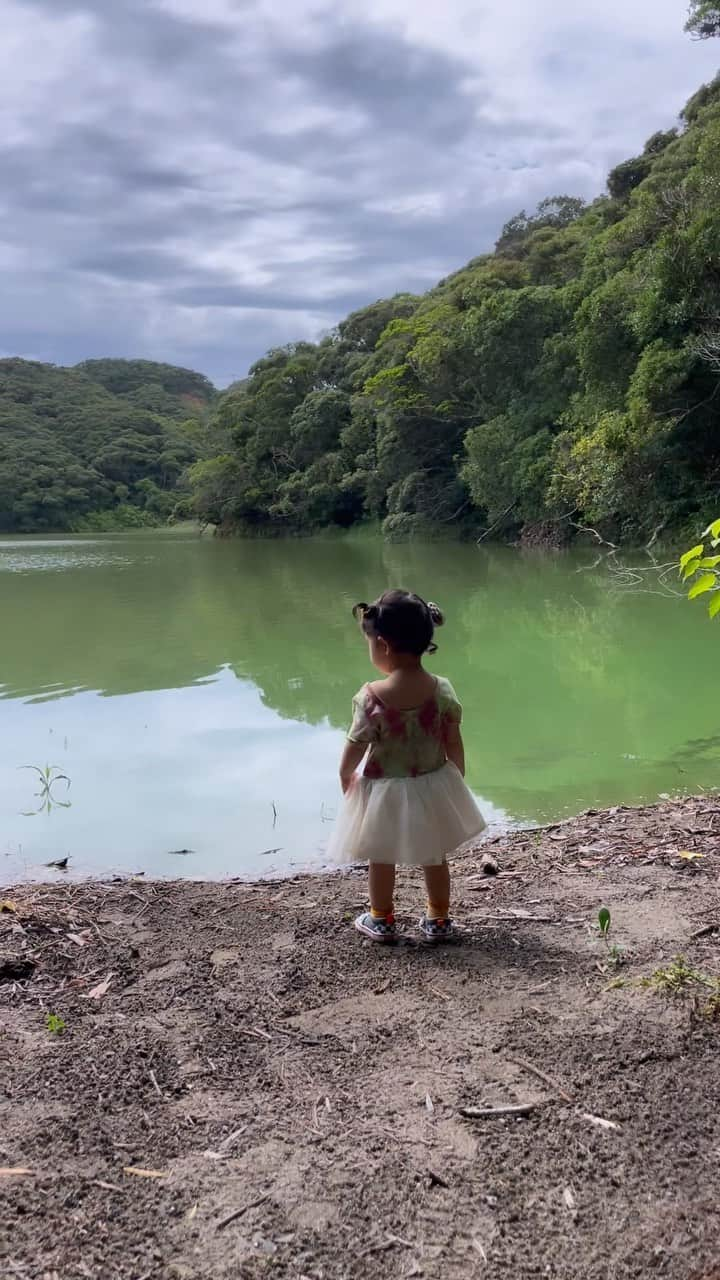 ノーマのインスタグラム：「宝満池と宝満神社と種子島の海🌏🦠⛩🌾  #種子島 #tanegashima」