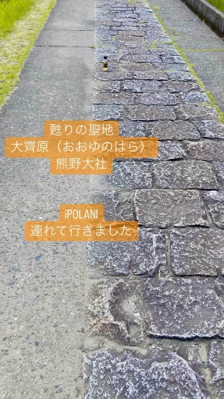 立見里歌のインスタグラム：「熊野三山を訪れました。ここは熊野本宮大社の旧社地大齊原です。日本一の大鳥居の前にひざまずき、イポラニと見上げた風景。自然と手をあわせていました。 🤍 イポラニは⇨ Hawaii語で最愛の恋人 🔸 #イポラニローション  #イポラニ目元口元用クリーム 🔸 https://www.la-ipolani.com/ 🔸 #水にこだわってます  #山梨県　で製造 #iPOLANI 🔸 【販売店】 #自然食品ff  #むぎごころ  #アメリカンファーマシー  #pilikai  #sosiego #ビバおはようショップ #つむぎORGANIC #EUREKA #AVAE 🔸 #年齢性別問わず #敏感肌 #子供　#エイジングケア #美肌ケア #美容 #無添加 #植物性　#botanical #バチルス発酵液　#ダマスクローズ　#肌に優しい #オーガニック #メンズ」