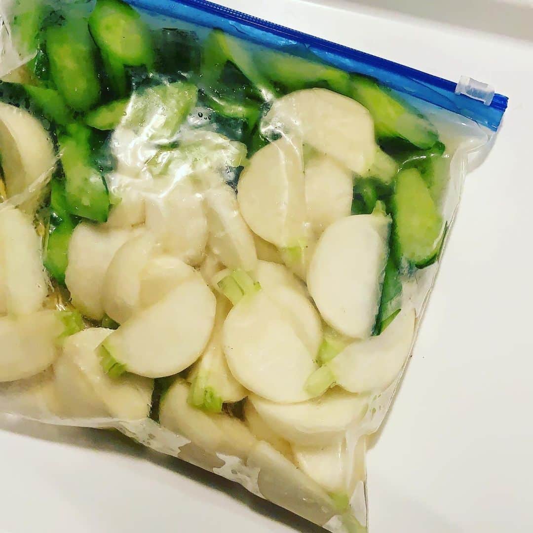 志摩有子さんのインスタグラム写真 - (志摩有子Instagram)「蕪と胡瓜を白だしとお酢少々に漬けて、冷蔵庫で冷え冷えに。おやつ代わりにパリパリ食べる。おつまみにも便利です。 ちなみに白だしは水で少し薄めて使ってください。  #白だし漬け #白だしレシピ @arikoya_official」7月17日 14時13分 - ariko418