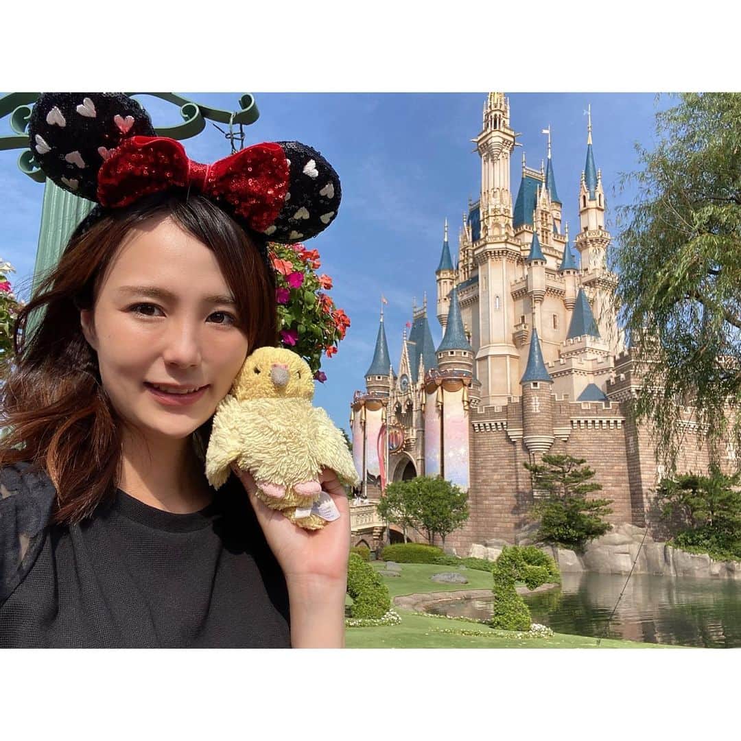 舘谷春香のインスタグラム：「インペイも行ったよ🐥{チキルーム好き  #ぬいぐるみ #ぬい撮り #ぬいどり #disneyland #disney #tokyodisneyland #tokyodisneyresort #東京ディズニーランド #ディズニーランド」