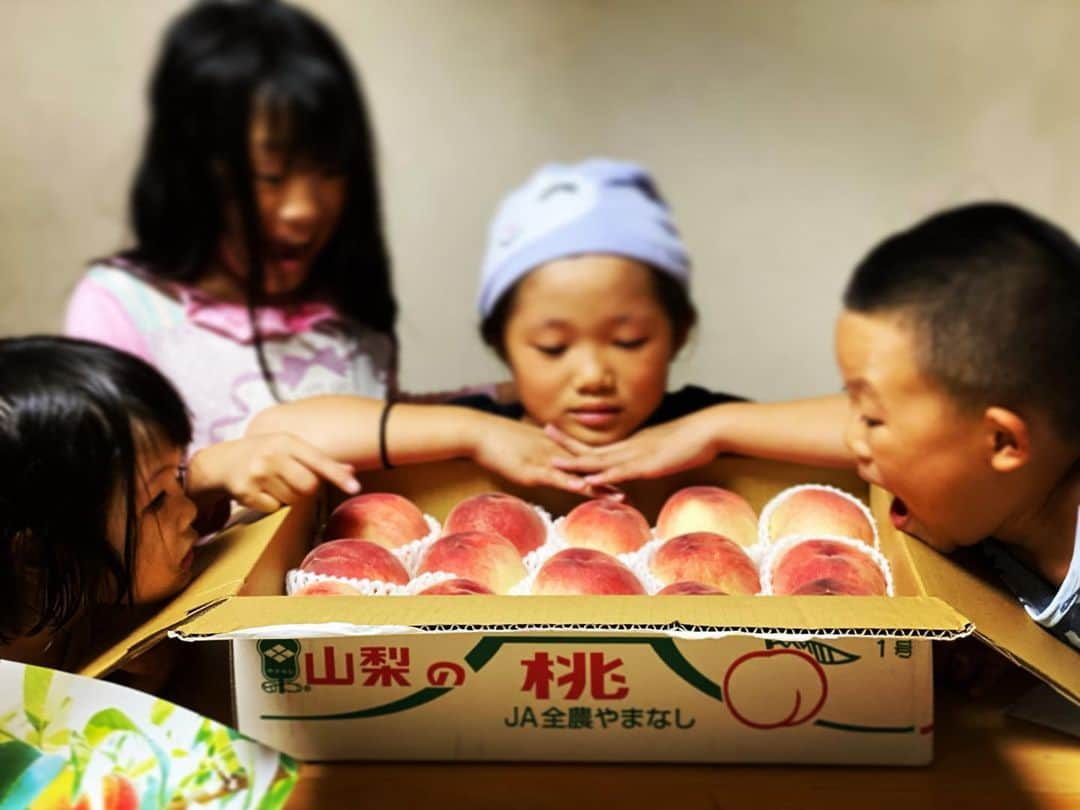 西浦聡生のインスタグラム：「おおよろこび🍑  #kasaipeachfarm #笠井桃園」