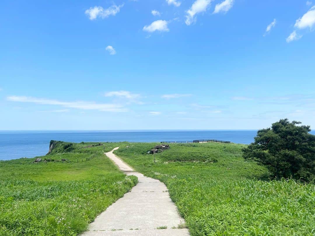 LOVEのインスタグラム：「山、ひたすら古墳。 提灯職人のいとこは今発掘の現場で働いてもいます。  古代、丹後王国。  #丹後半島  #大成古墳」