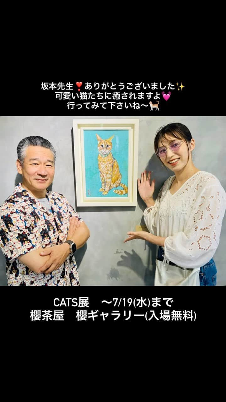 中山千桂子のインスタグラム：「坂本先生の絵画展へ  ラジオ番組でもお世話になった坂本和生先生✨ 個展にお邪魔してきました〜🚗  可愛い猫ちゃん満載の素敵な空間💓  会場内で光り輝く猫ちゃんに一目惚れ😍 よーく見ると金色の毛並みなんですよ〜✨ やっぱりキラキラが好き💓 じ〜っと見つめて脳裏に焼き付けました😳  CATS展 は 7/19(水)まで櫻茶屋　櫻ギャラリー(徳島市北沖洲) 入場無料ですよー❣️  坂本先生ありがとうございました🤗✨  #cats #絵画 #猫の絵 #坂本和生 #一目惚れ #美術展巡り #癒しの時間 #休日の過ごし方 #サングラス女子 #デニムコーデ」