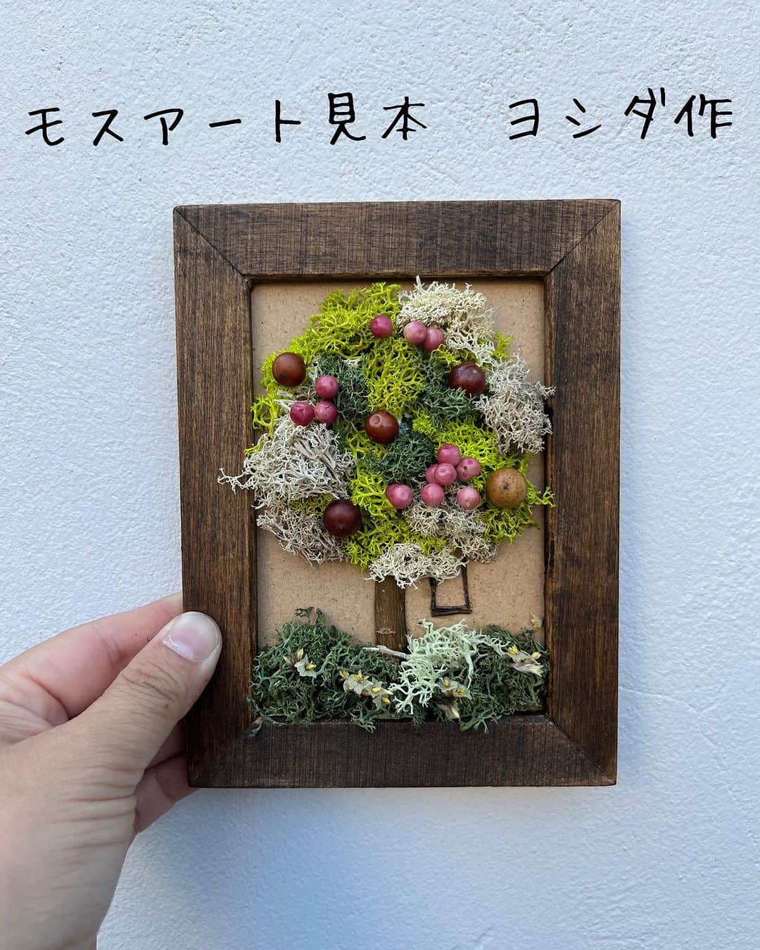 MILLE ECLAT.さんのインスタグラム写真 - (MILLE ECLAT.Instagram)「今週末に開催される @alpha_yukarigaoka さんのイベントモスアート見本をそれぞれ作ってみました✨🌳 . カイトくんは風になびいてる病院の窓から見える木というちょっと哀愁感漂う作品です🧐 . ヨシダは…ハイジ感で　笑笑笑 . 是非是非夏休みにお子様と遊びにいらしてください✨☺️ . モスアートはお子様だけではなく大人も楽しめます♡」7月17日 15時42分 - mille_eclat