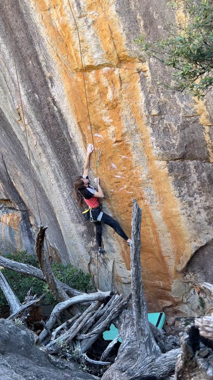 ペイジー・クラッセンのインスタグラム：「Mini trax life - just the pace I need right now. Stuck the crux move, so the instruction manual says it goes.  @lasportivana @physivantage @maximropes」