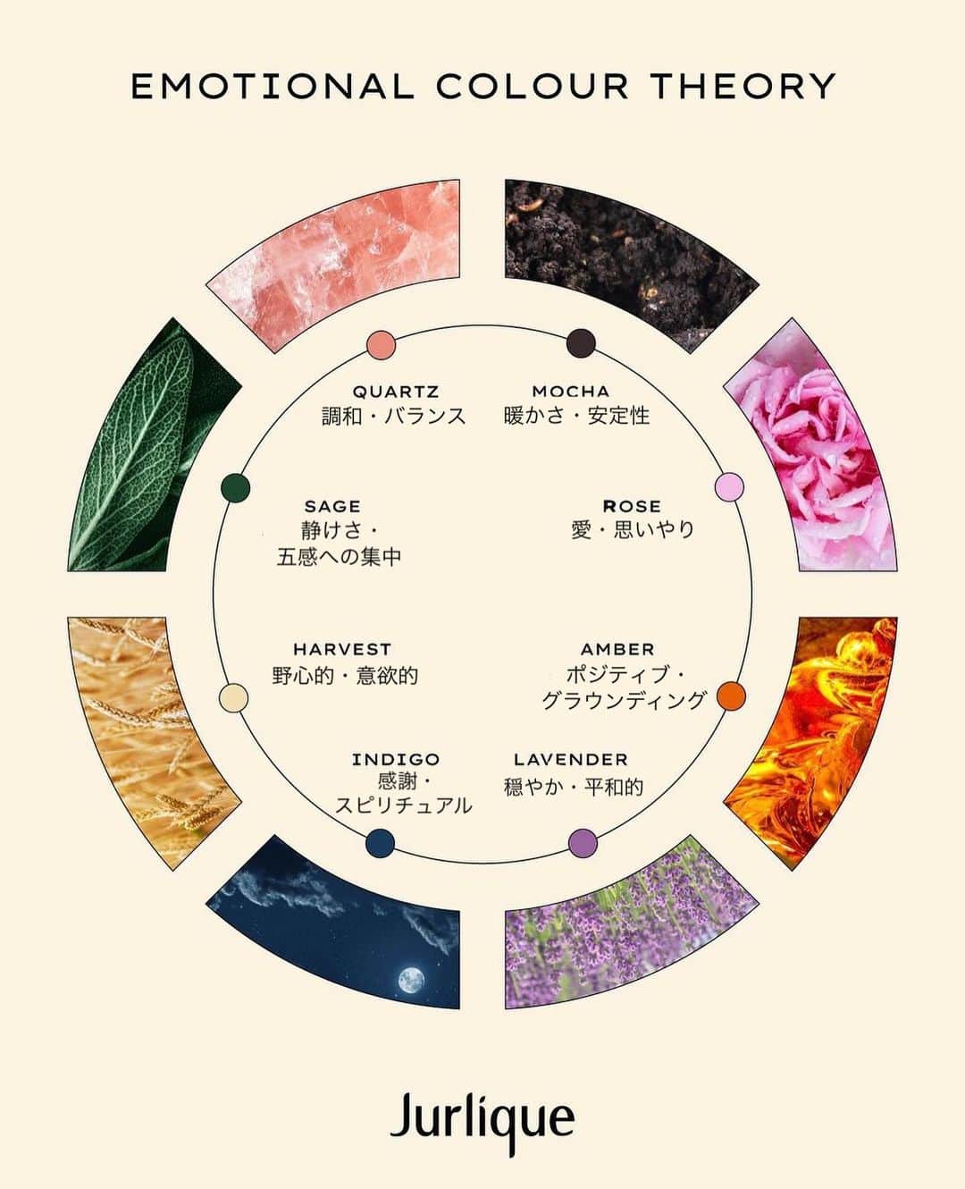 Jurlique Japanのインスタグラム：「色彩理論は、それぞれの色が 私たちの気分や感情、行動にどれだけの影響を 与えるかを知ることができます。   AMBER(琥珀)が持つポジティブさや ROSEが持つ愛と思いやりなど、 それぞれの色には毎日をポジティブに過ごすための ヒントがたくさんあります🎨   今日はどんな色の気分ですか？？  #jurlique #organic #naturalskincare  #biodynamicskincare #wellbeing #selfcare#holisticbeauty #australia #adelaide #ジュリーク #ジュリークのある暮らし #バイオダイナミック無農薬有機農法 #セルフケア #色彩理論」