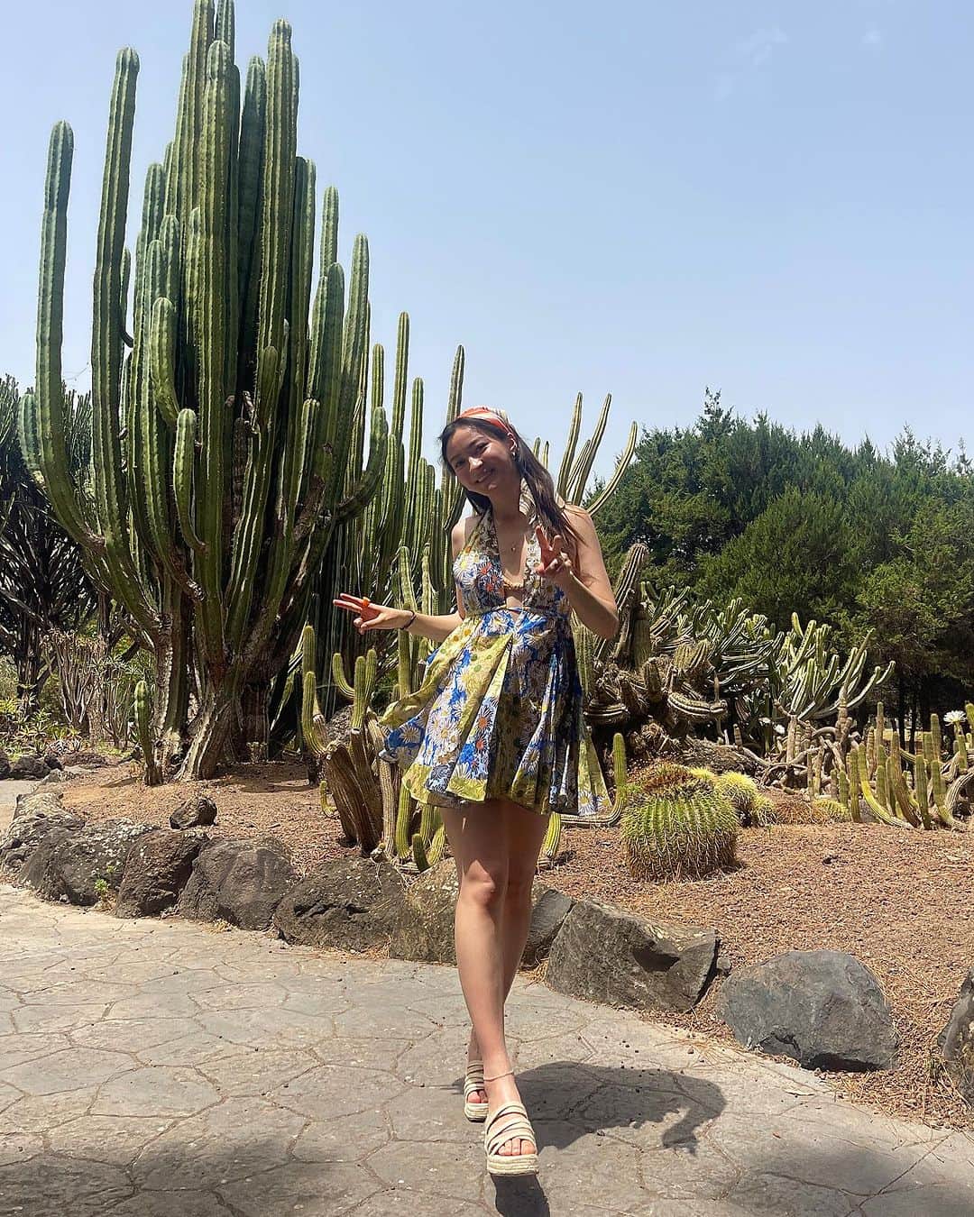 澄那シュトゥーダーさんのインスタグラム写真 - (澄那シュトゥーダーInstagram)「pov you're trying to blend in with the cacti by worshipping the sun (see last slide) @laurechanviolin 🌵🙃」7月17日 17時43分 - suminastuder