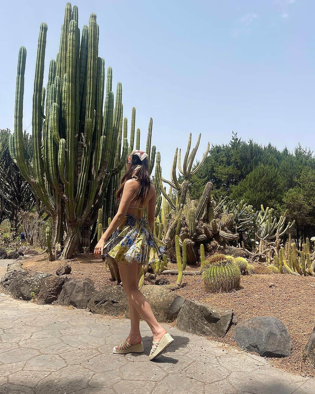 澄那シュトゥーダーさんのインスタグラム写真 - (澄那シュトゥーダーInstagram)「pov you're trying to blend in with the cacti by worshipping the sun (see last slide) @laurechanviolin 🌵🙃」7月17日 17時43分 - suminastuder