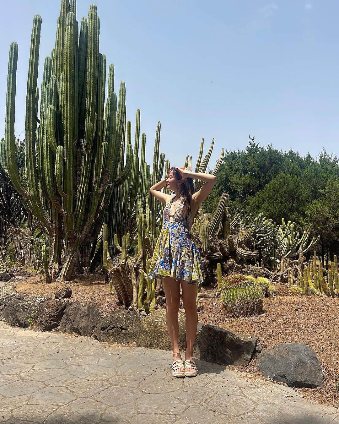 澄那シュトゥーダーのインスタグラム：「pov you're trying to blend in with the cacti by worshipping the sun (see last slide) @laurechanviolin 🌵🙃」