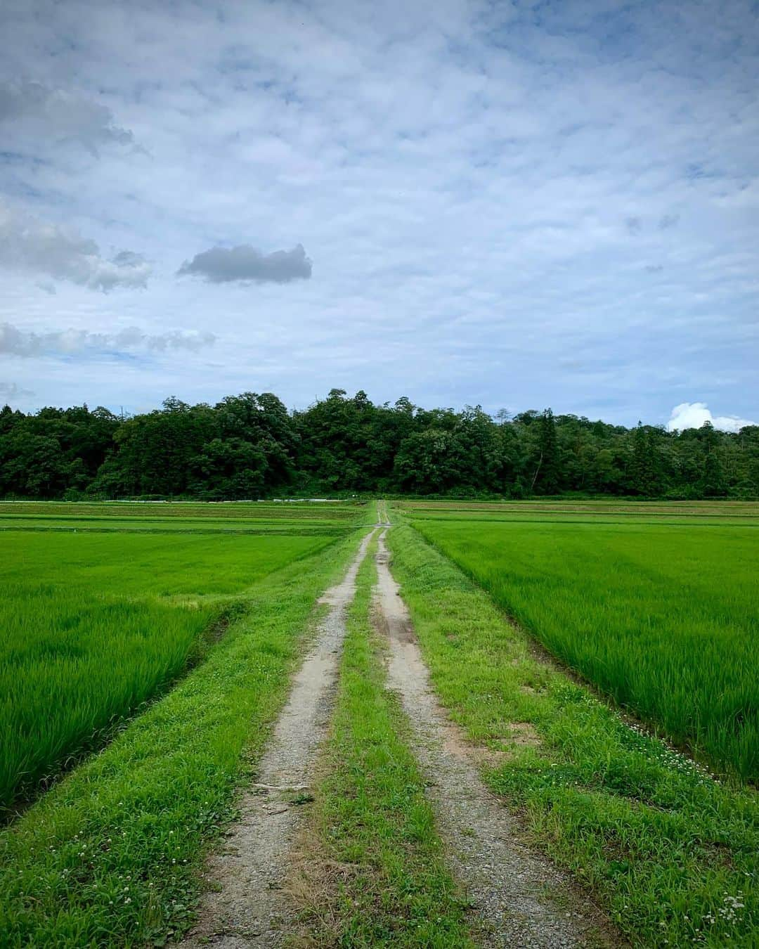 奈良美智さんのインスタグラム写真 - (奈良美智Instagram)「I stayed and worked in Shigaraki town for 2weeks.  and over 40 works are done.」7月17日 17時44分 - michinara3