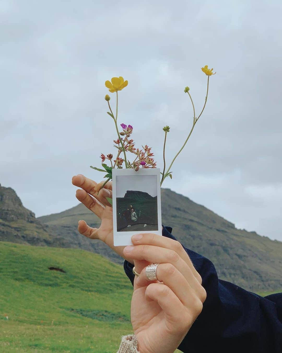 満島ひかりのインスタグラム：「💛💜💚 #faroeislands」