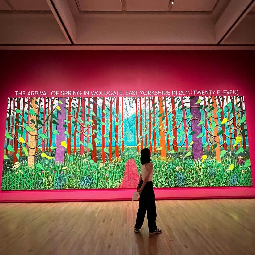 大枝瑞希のインスタグラム：「David Hockney 🌷」