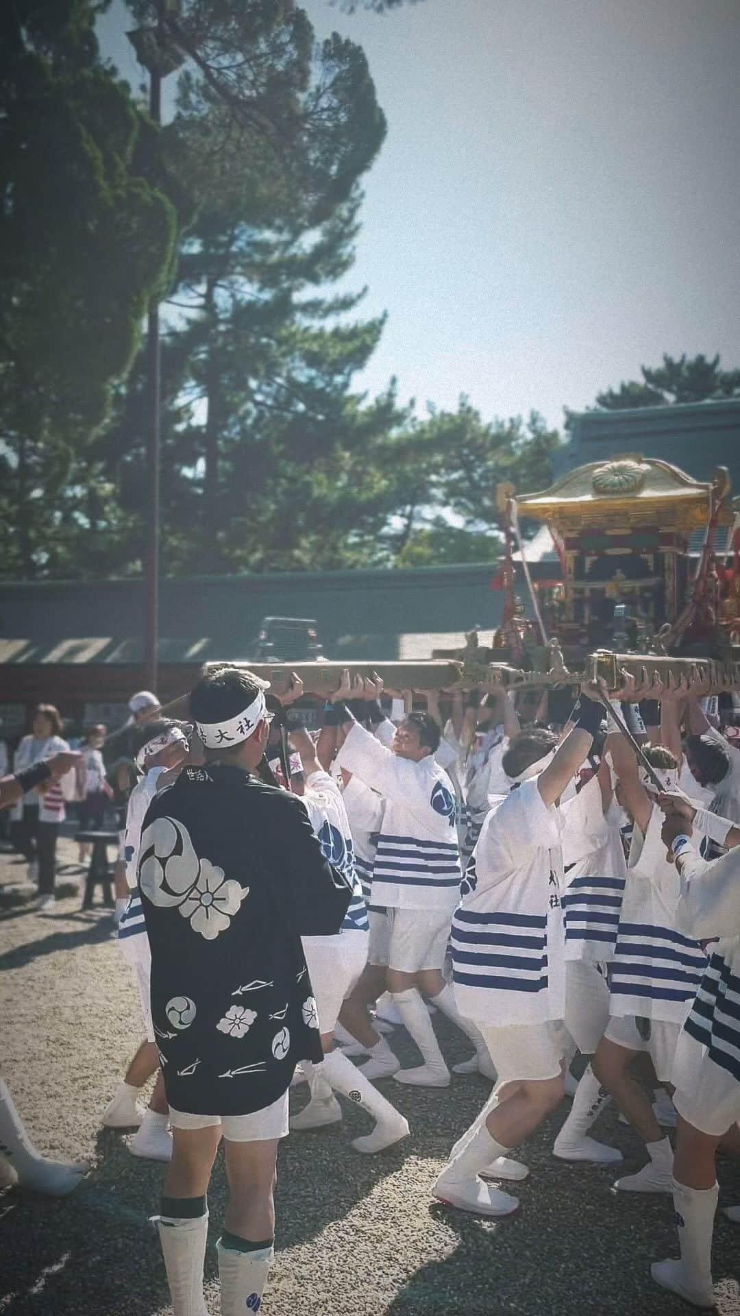 住吉大社 | sumiyoshitaishaのインスタグラム：「【神輿洗神事　斎行】 神輿渡御に先立って、大阪湾の沖合で汲み上げられた海水にて神輿が祓い清められました。  #神輿 #住吉祭 #夏祭 #お祓い #sumiyoshitaisha #osaka #japan #nationaltreasure #osakasightseeing #sightseeing #japantrip #osakatrip #shrine #住吉大社 #神社 #国宝 #燈籠 #日本 #大阪 #大阪観光 #travel #beautiful#japaneseculture #koi #coloredcarp #carp #錦鯉 #反橋 #橋」